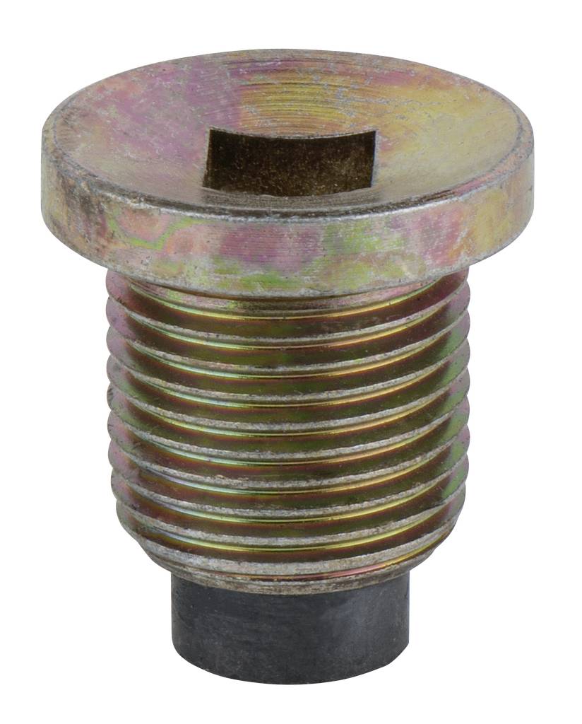 Metal screw with a countersunk head and internal thread, slightly rusty, against a white background.