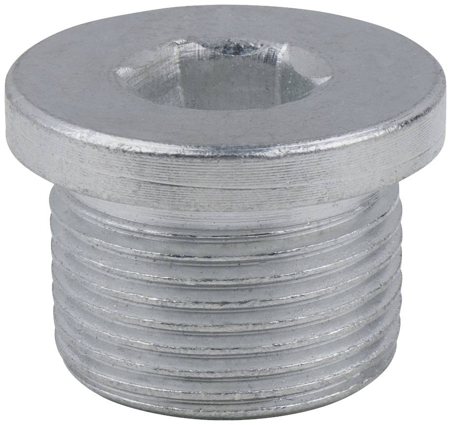 A silver, cylindrical threaded plug with a hexagonal recess on top, commonly used for closures in plumbing or mechanical engineering.