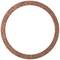A circular copper ring.