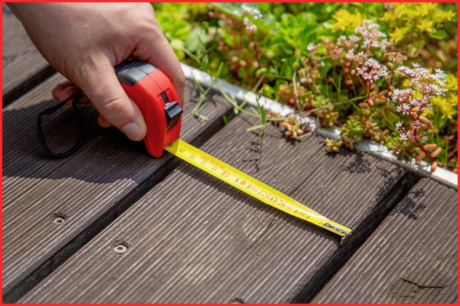 A hand holds a tape measure on a wooden decking next to colourful plants, measuring the length of the decking boards.