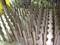 Metal springs arranged in rows on an industrial machine, potentially part of a manufacturing process.