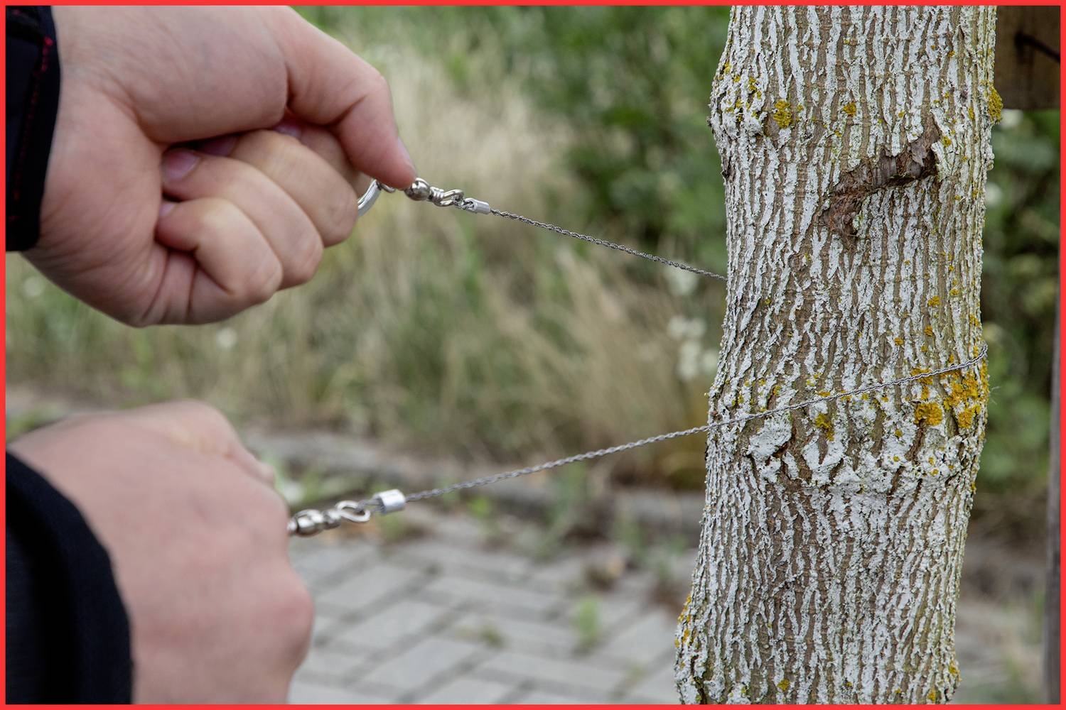 Two hands are holding a wire rope looped around a tree trunk. The tree shows signs of bark with lichen growth.