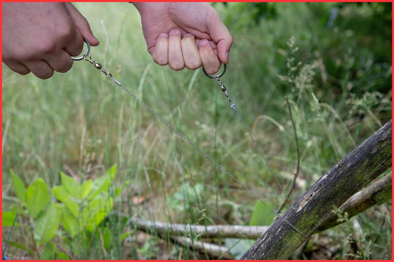 Close-up of two hands using a bow saw to cut a thin branch in a wooded area.
