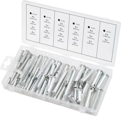 Plastic storage box containing various cavity wall plugs in different sizes. Label on top displays dimensions and number of plugs per compartment.
