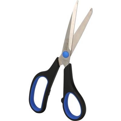 Scissors with black handles and blue details, opened and standing upright.
