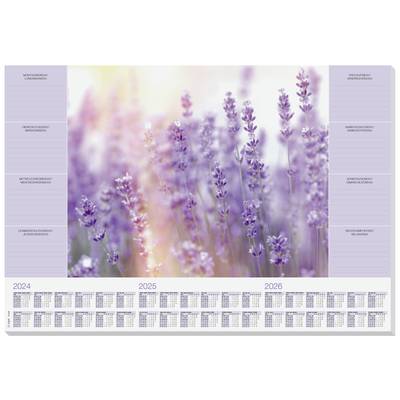   Sigel  HO308  Desk pad   Fragrant Lavender  Three-year planner  Purple  (W x H) 59.5 cm x 41 cm