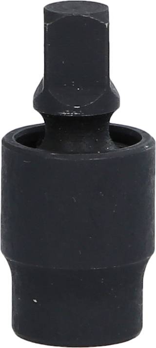 Black hex bit socket with hexagonal drive.