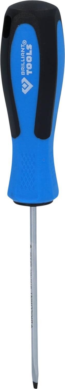 Blue screwdriver with black handle, cross-head tip. 'Tool' marking visible on the handle.