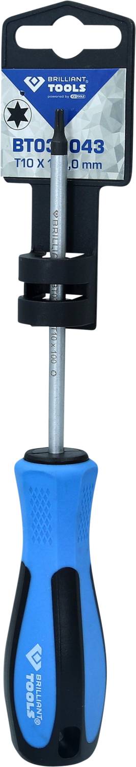 A blue screwdriver with a black handle and a T10 x 150 mm Torx head is secured in a black plastic holder.