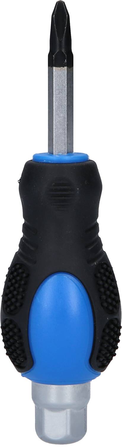 Phillips screwdriver with a blue-black handle.