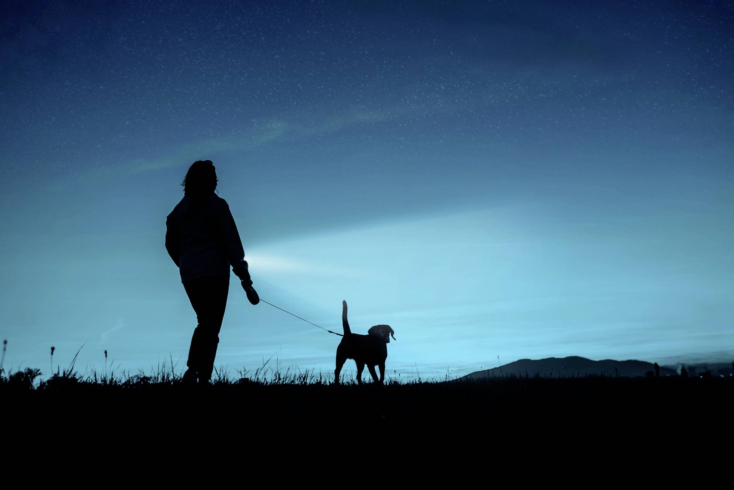 A person is walking with a dog on a lead, holding a torch. They are in a dark landscape at night.