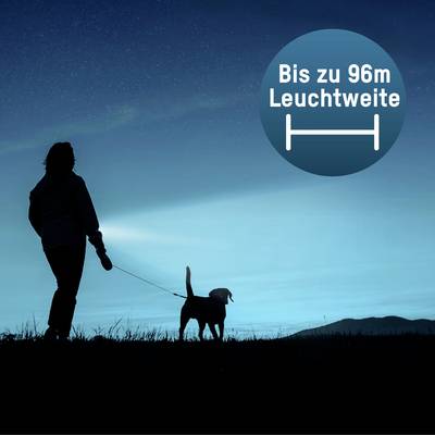 A person walks at night with a dog. They are holding a torch that illuminates up to 96 metres, according to a pie chart.