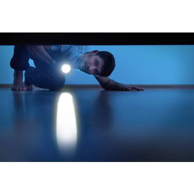 A man shines a torch underneath a piece of furniture on a wooden floor. His facial expression appears inquisitive.