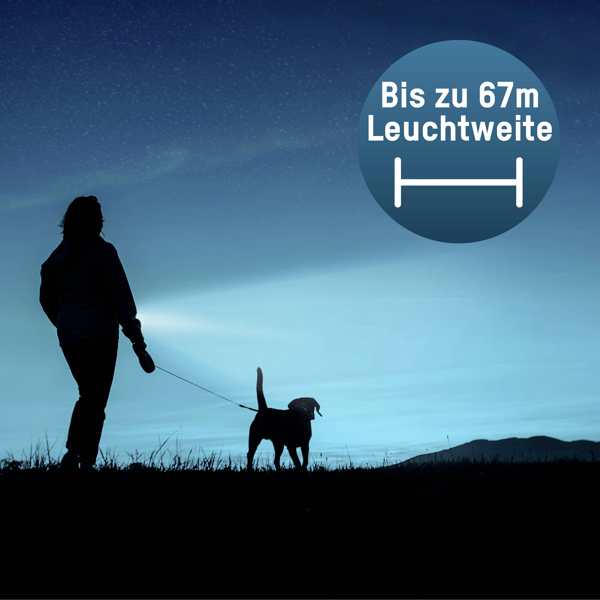 A person is walking a dog at night, holding a torch that illuminates up to 67 metres.