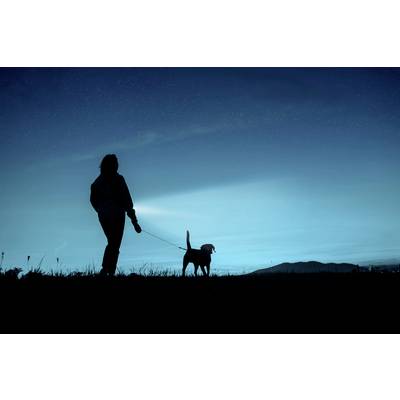 Silhouette of a person walking a dog on a lead in a dark environment. The individual is holding a torch, casting its beam forward.