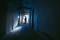 A person stands at the end of a gloomy, poorly lit corridor. The walls are cracked, and the atmosphere is eerie and mysterious.