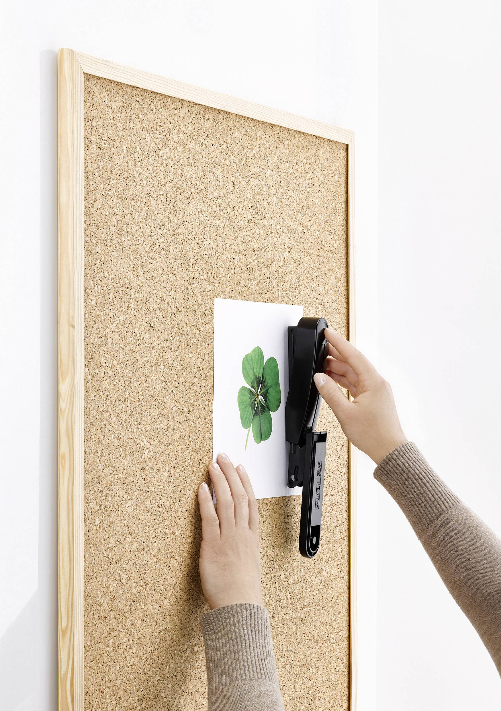A person pins a picture with a four-leaf clover to a cork board.