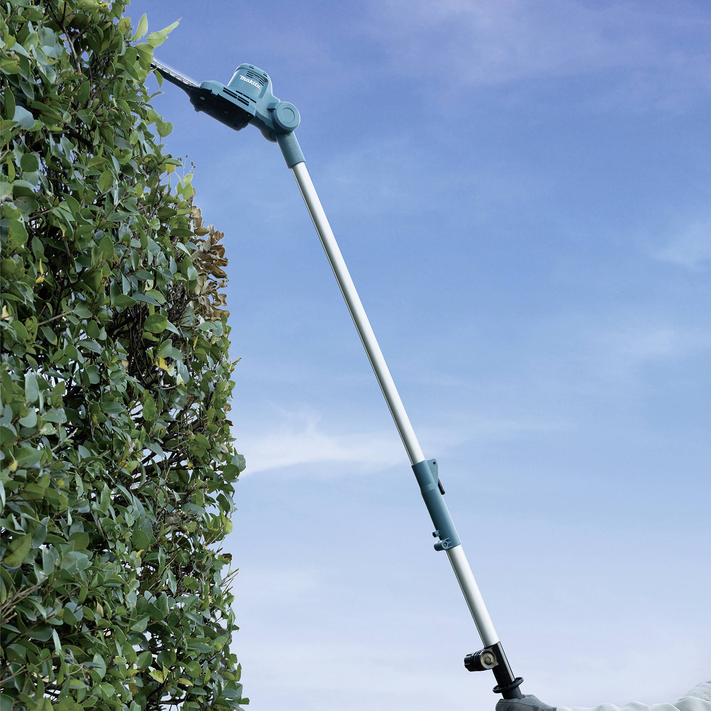 A hedge trimmer is cutting the upper branches of a tall hedge. The sky is visible in the background.