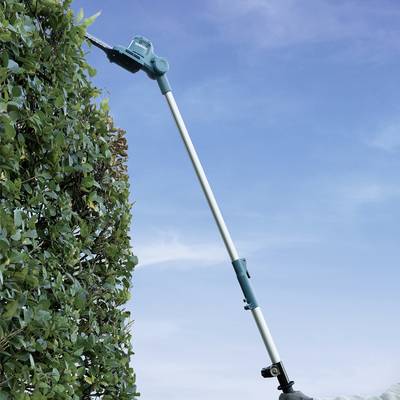A hedge trimmer is cutting the upper branches of a tall hedge. The sky is visible in the background.