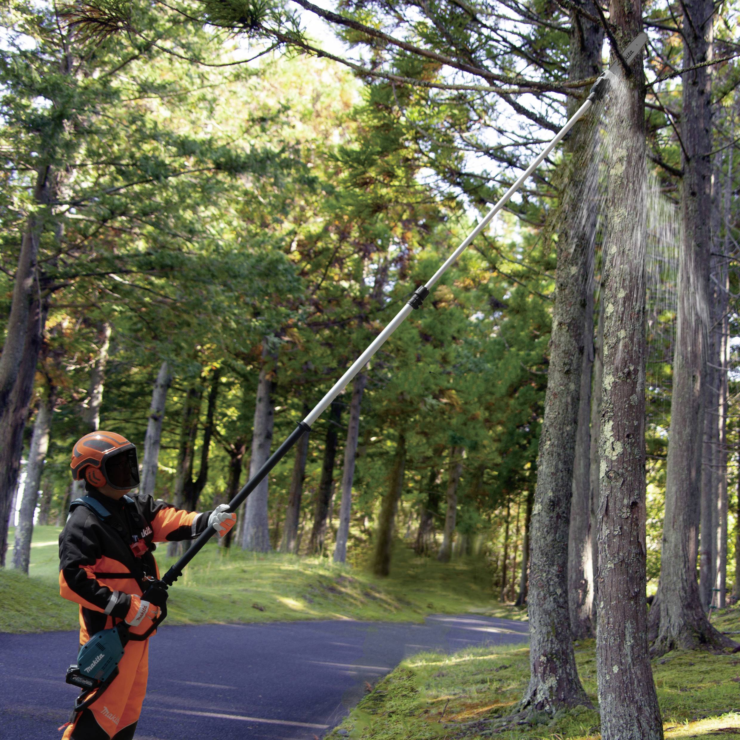 A worker in protective clothing is cutting branches from a tree in a woodland area using a telescopic pruning saw.