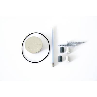 Coin, O-ring, pin, screws and wall plugs on a white background. These parts could be used for repairs or assemblies.