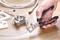 A hand is using wire cutters to cut an electrical cable. In the background, there is a socket frame and additional cables.