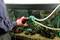 A person is holding a red tool near an aquarium, with tubes leading into the water. A fish is swimming in the background.