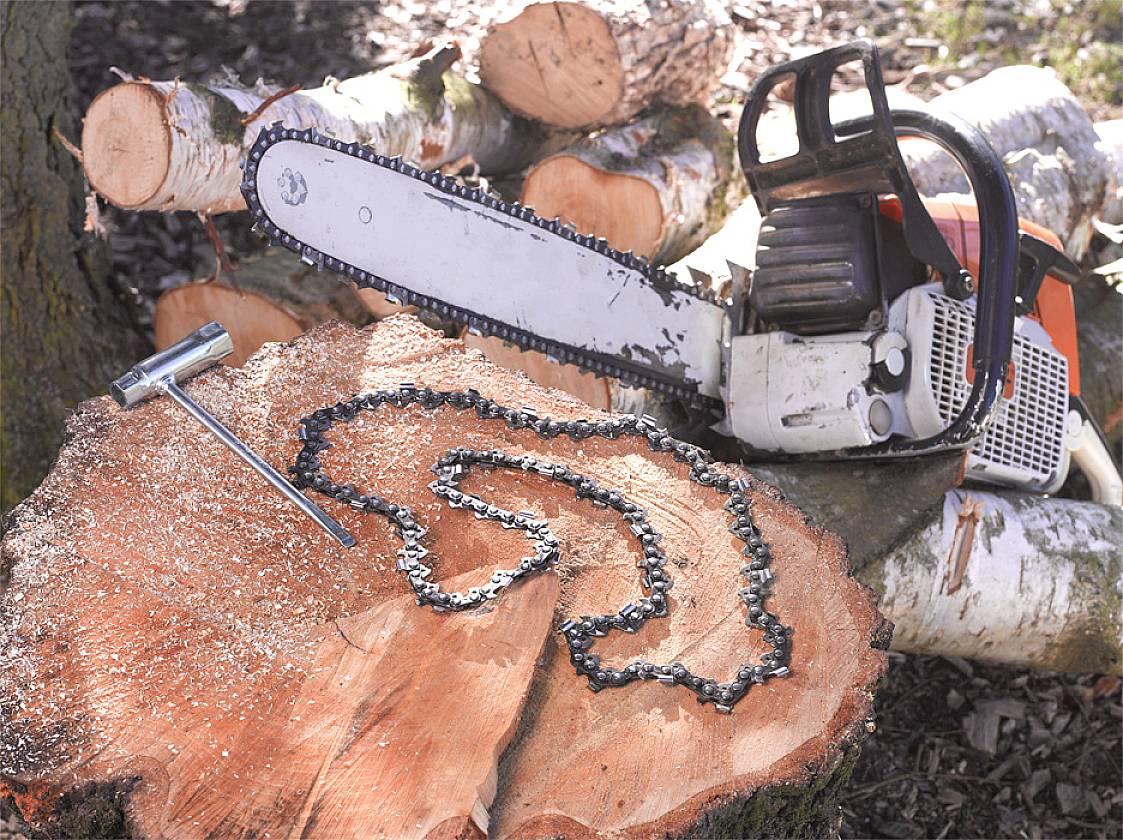 Chainsaw on a tree trunk, surrounded by logs. A spanner and a chain lie nearby.