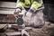 A person in workwear is cutting concrete blocks with an angle grinder. Dust rises, with more stones in the background.