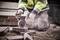 A person in safety clothing is cutting stones with an angle grinder. Dust rises. Workplace on a construction site.
