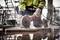 A construction worker is cutting tiles with an electric saw. He is wearing safety clothing with reflective strips.