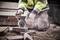 A worker in protective clothing cuts stones with an angle grinder on a construction site, dust swirling up.