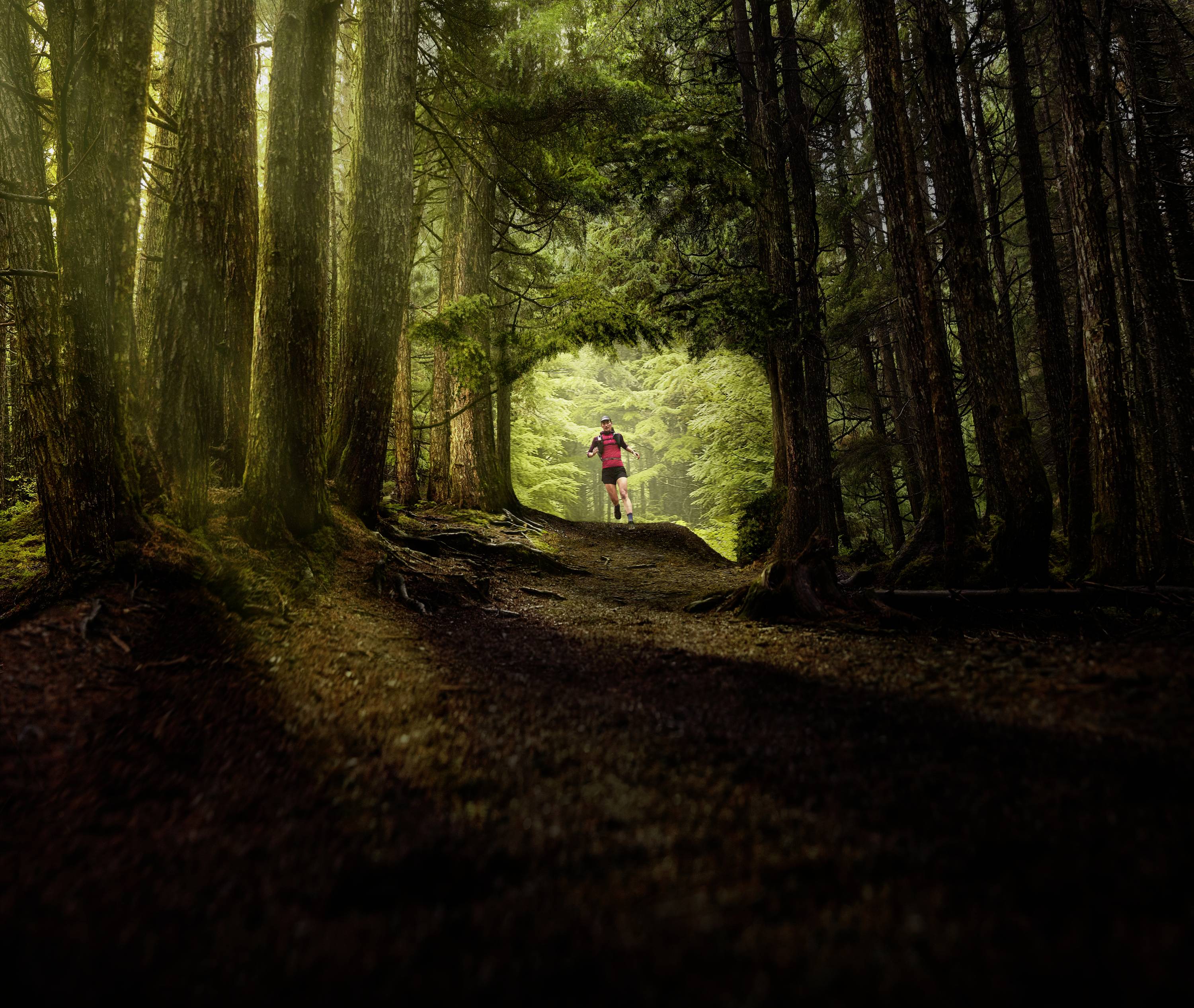 A person is jogging along a woodland path, surrounded by tall, green trees. Sunlight filters through the canopy, illuminating the trail.