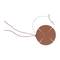 Round brown heating resistor with four segments and power supply cables, against a white background.