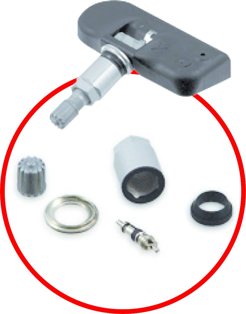Tyre Pressure Monitoring System Sensor with individual components: Sensor, valve, nuts and seals; used for monitoring tyre pressure.