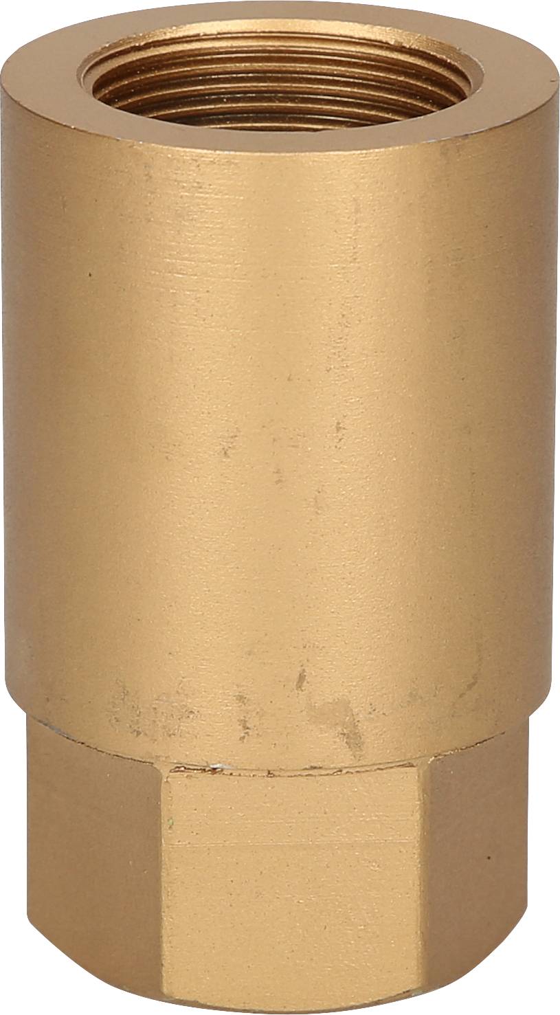 A brass fitting with internal thread, vertically oriented.