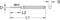 Figure of a screwdriver with dimensions: length L1, L2, diameter D and head size S, brand 'KS Tools'.