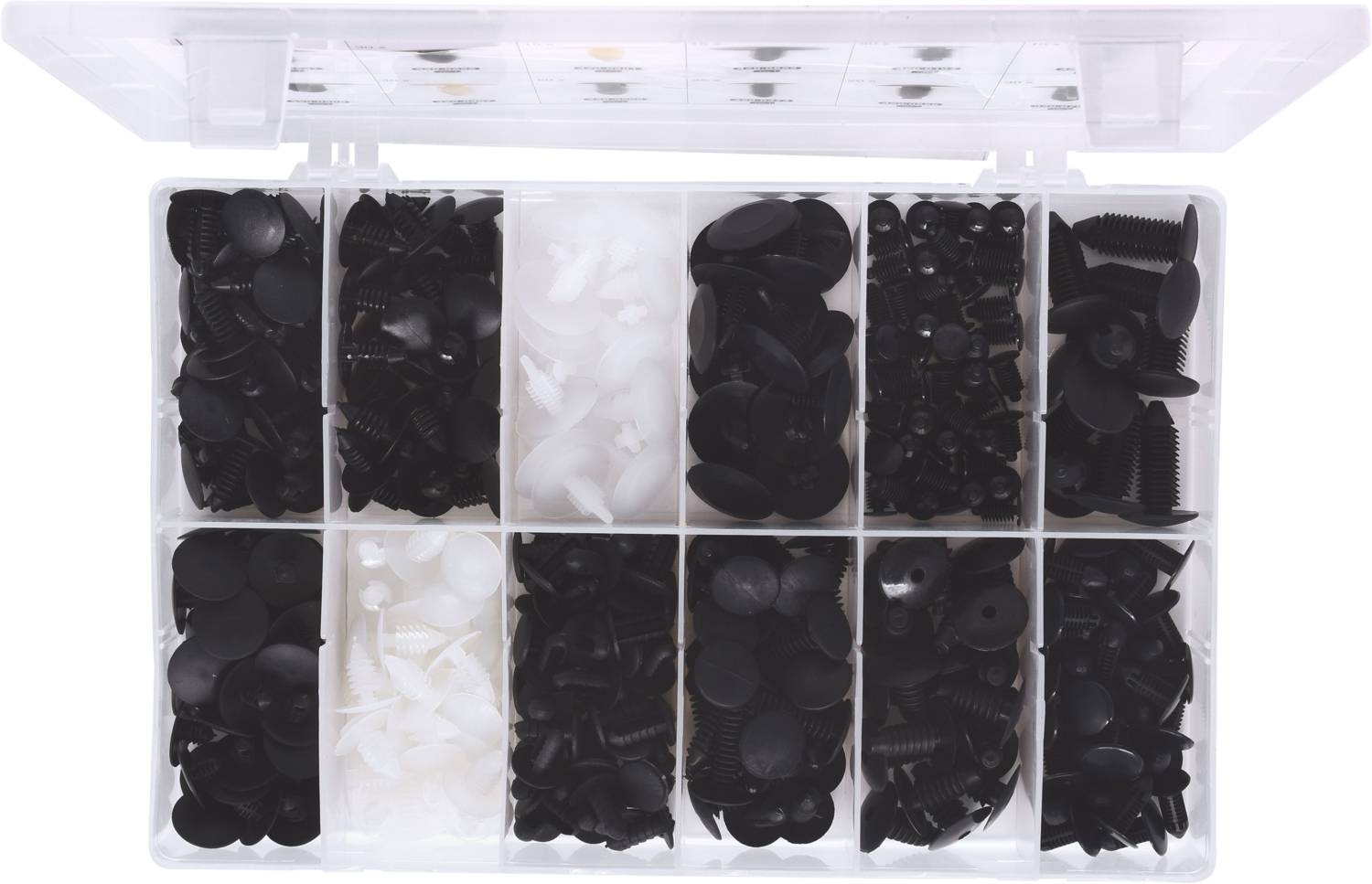 Plastic pens in various shapes and sizes, neatly arranged in an open transparent organiser with twelve compartments.