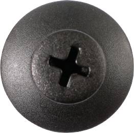 A black cross-head screw viewed from above.