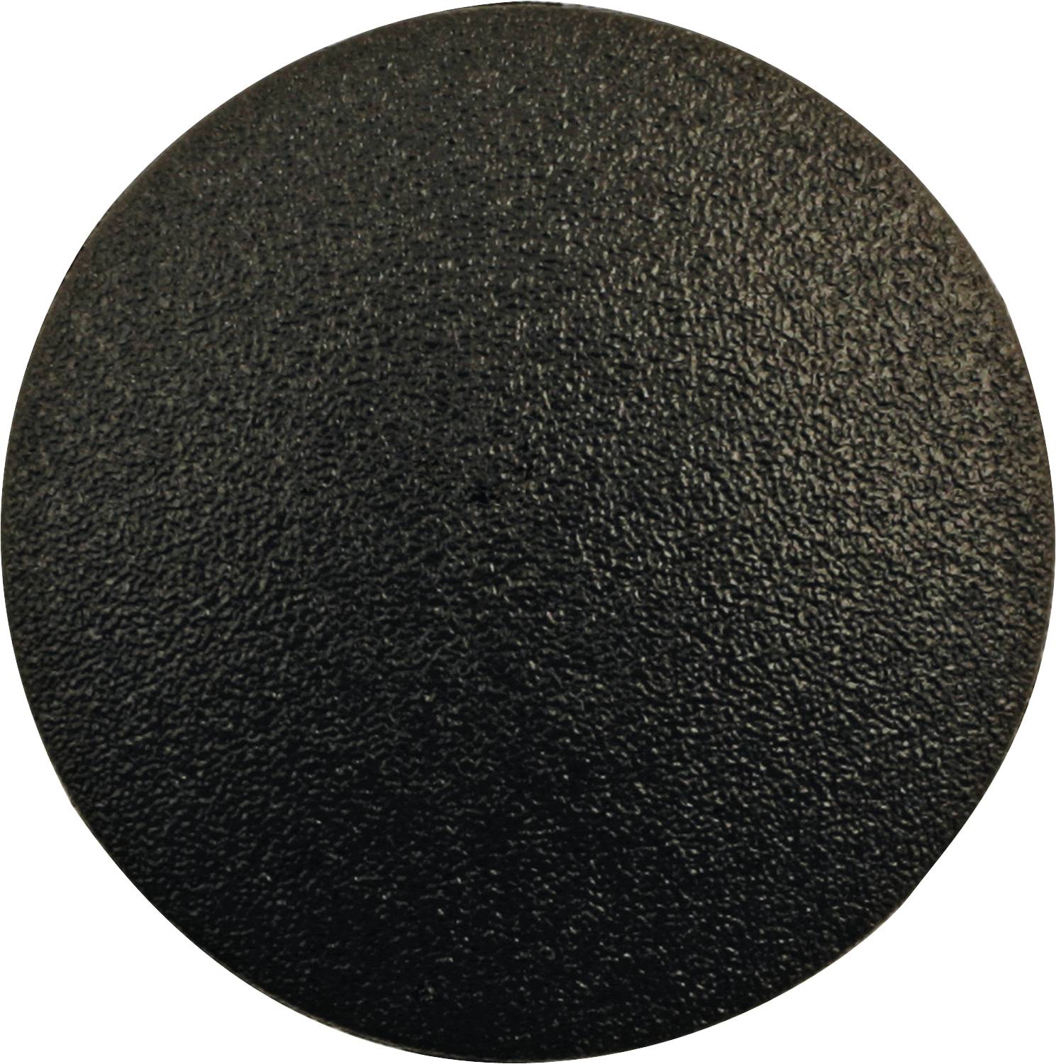 An oval, black object with a rough texture, lying against a white background. No other distinguishing features.