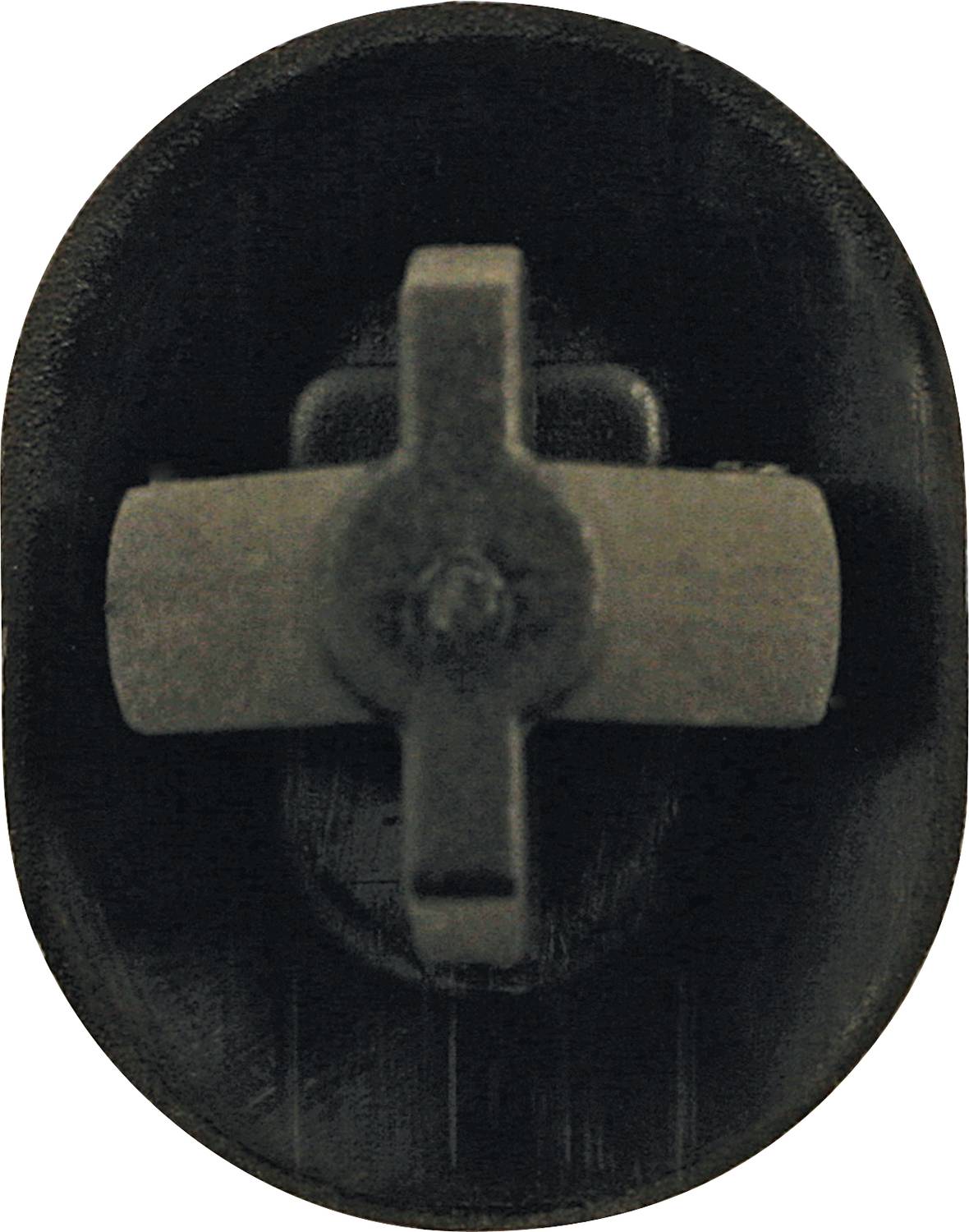 A black, oval object with a cross-shaped pattern in the centre.