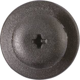 Close-up of a round black screw with a cross-head.