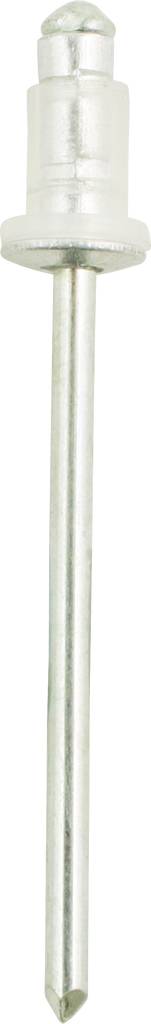 A silver-coloured blind rivet, consisting of a head and a long pin.