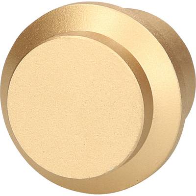 Round, gold-coloured knob or dial against a white background.