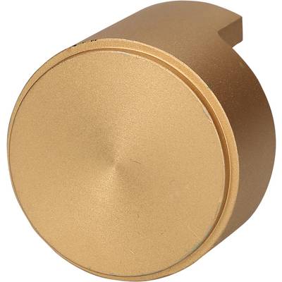 A round, golden metal button with a smooth surface; flatter side closure; could serve as a control button.