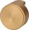 A round, golden metal button with a smooth surface; flatter side closure; could serve as a control button.