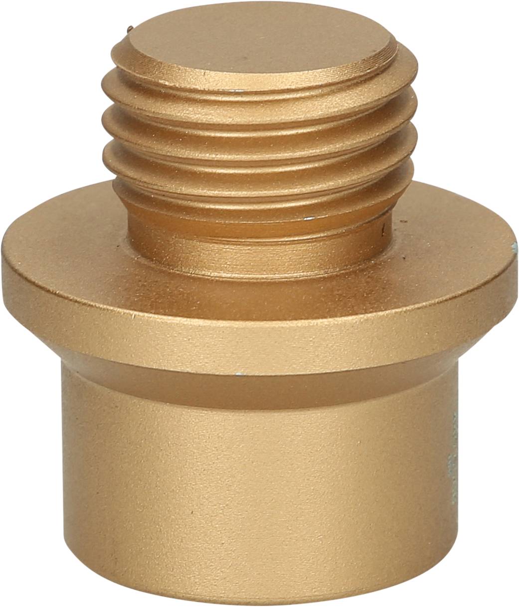Golden, metallic threaded screw, cylindrical, with a broad head and distinctive grain pattern, suitable for technical applications.
