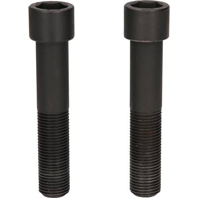 Two black internal hex bolts with long thread are standing upright next to each other.