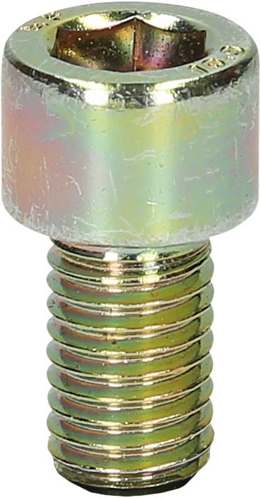 A golden hexagon socket head cap screw with a cylindrical head and thread.