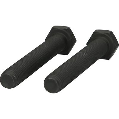 Two black hexagonal bolts side by side on a white background.